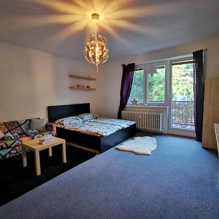 Cely Apartman Podlesi 54M2 S Dvema Balkony A S Novou Manzelskou Posteli, Zatim Neni Na Fotkach Brno Exterior foto