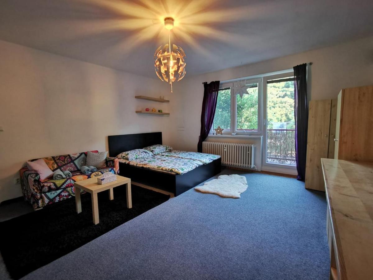 Cely Apartman Podlesi 54M2 S Dvema Balkony A S Novou Manzelskou Posteli, Zatim Neni Na Fotkach Brno Exterior foto